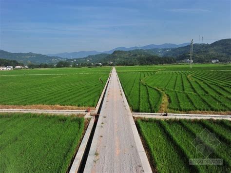 下田坡道|高标准农田机耕路建设技术规范